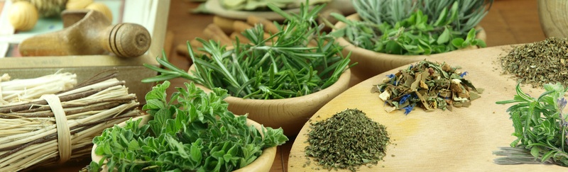 भारतले जडीबुटी निकासीमा जिएसटी लगाएपछि नेपाली जडीबुटी व्यवसायी समस्यामा