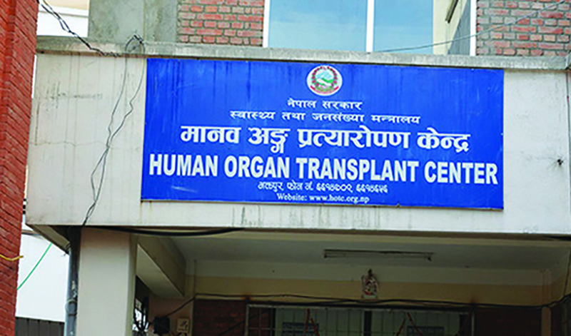 'मानव अंग प्रत्यारोपण केन्द्रबाट निकालिएका नर्सको अविलम्ब पुनर्बहाली गर'