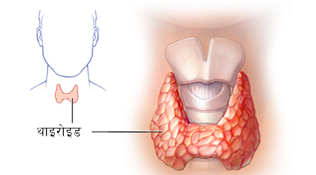 यी लक्षण देखिए थाइराइड जाँच गर्नुपर्छ