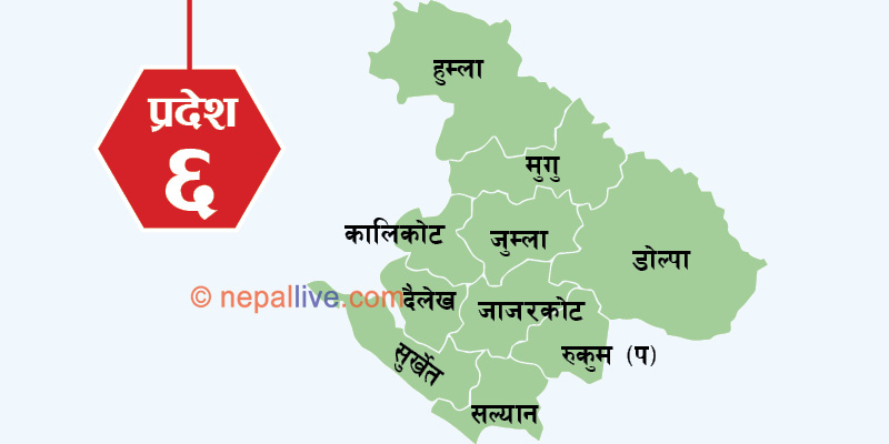 भाइरल ज्वरोले दुई सातामा १२ जनाको मृत्यु
