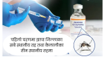 आजदेखि झापा र कैलालीका ३० वर्षमाथिका व्यक्तिलाई जापानिज इन्सेफलाइटिसविरुद्ध विशेष खोप