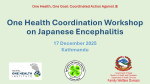 जापानी इन्सेफ्लाइटिससम्बन्धी वन हेल्थ समन्वय कार्यशाला काठमाडौंमा सम्पन्न