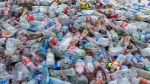 कोका-कोला कम्पनी ब्रान्डेड प्लास्टिक प्रदूषणको सबैभन्दा ठूलो उत्पादक