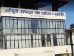 जडिबुटी उत्पादन तथा प्रवर्द्धन कम्पनीको क्षति २८ करोड,   बजेटमा २० करोड विनियोजन