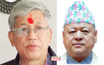 कांग्रेस केन्द्रीय सदस्यमा एनएमए पूर्वअध्यक्ष : एकजना ढुक्क, एकजनालाई ढुकढुक