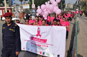 स्तन क्यान्सरबारे सचेतनाका लागि वाकथोन