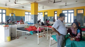 सप्तरीमा सर्पदंशका बिरामी बढे, एकै दिन ९ जनाको उपचार