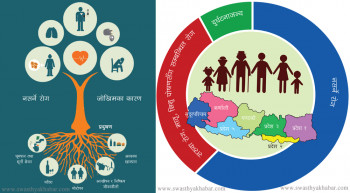 नसर्ने रोगको भार बढ्दै, ६६ प्रतिशत नेपालीको मृत्युको कारक (कुन रोगबाट कति?)