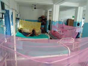 डेङ्गुको सङ्क्रमणः झुल टाँगेर उपचार