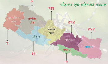 डेंगु नियन्त्रण बाहिर: साउनयता ३७ जिल्लामा फैलियो (कुन जिल्लामा कति?)