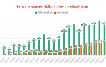 कोरोना संक्रमणदर उच्च विन्दुमा, पीसीआर परीक्षण गरेका ४७ प्रतिशतभन्दा बढी पोजिटिभ