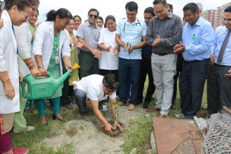 वातावरण दिवसमा ग्रान्डी अस्पतालमा वृक्षारोपण
