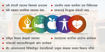 के-के छन् नीति तथा कार्यक्रममा स्वास्थ्यका विषय?