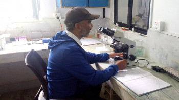 डडेल्धुरामा कालाजार भेटियो