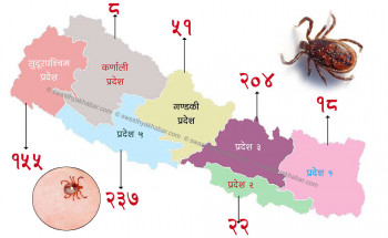 डेंगुभन्दा ३० गुणा बढी मृत्युदर भएको स्क्रब टाइफसका बिरामी ६१ जिल्लामा (कुन जिल्लामा कति?)