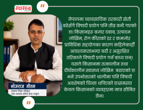 खानाको थालीमा विषादीको डर: कमजोर नियन्त्रण प्रणाली, जोखिममा किसान, असुरक्षित उपभोक्ता
