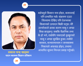 बर्डफ्लु : किसानको आर्थिक संकट, जनस्वास्थ्यको जोखिम र नीतिगत पहलको खाँचो