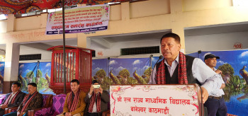 डेंगु नियन्त्रणका लागि विशेष ध्यान दिन सरकारसँग कांग्रेस नेता सिंहको आग्रह 