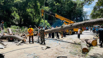सल्लाघारीमा रुखले किचेर घाइते भएकाहरुको समितिको खर्चमा उपचार जारी, २१ रूख काटिए