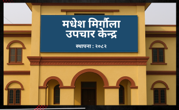 मधेश प्रदेशमा मिर्गौला उपचार केन्द्र बन्ने,  छुट्याइयो १ करोड ३५ लाख