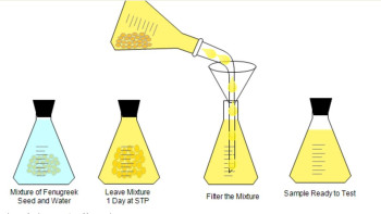 नेपाली वैज्ञानिकको अनुसन्धान : मेथीपानी मधुमेह नियन्त्रण र छाला सुरक्षामा प्रभावकारी प्राकृतिक विकल्प