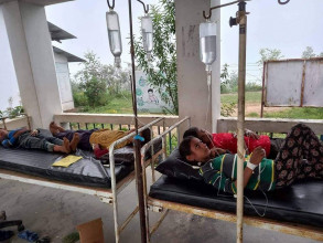 जंगली च्याउ खाँदा बैतडीमा पाँच जना बिरामी