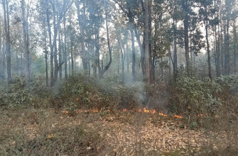 डढेलोले देशभर वायु प्रदूषण बढ्दै