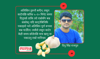 भान्साको औषधि लसुनका ७ प्रमुख फाइदा, कसरी खाने? के-के सावधानी अपनाउने?