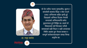 छाता प्रतिष्ठान ऐन: एक गहन शल्यक्रिया र समाधानको मार्गचित्र