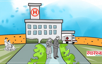 काठमाडौँ महानगरको अनलाइन प्रणालीमा ४१ अस्पताल आबद्ध, कसरी लिने निःशुल्क सेवा? 