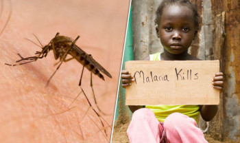 अन्तर्राष्ट्रिय दाताहरूले सहयोग कटौती गर्दा युगाण्डामा मलेरिया नियन्त्रण अभियान प्रभावित