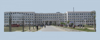 विपन्नको स्वास्थ्य बीमा रकम नोबेलले तिरिदिने