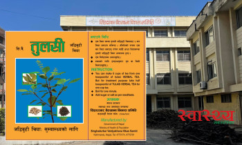 चर्चित ब्रान्ड 'तुलसी चिया': गुमेको शाख फर्काउने योजनामा वैद्यखाना