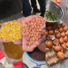 सिंहदरबार भित्रकै क्याफेमा भेटियो गुणस्तरहीन खाद्यान्न, २ लाख १ हजार जरिवाना