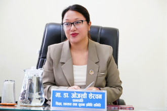 इन्टर्न तथा आवासीय चिकित्सकहरूको कार्य समय व्यवस्थापन र पारिश्रमिक भुक्तानी गर्न डा. ओजस्वी शेरचनको माग