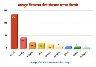 बागलुङमा एक महिनामा नै १८७ मा डेङ्गी संक्रमण