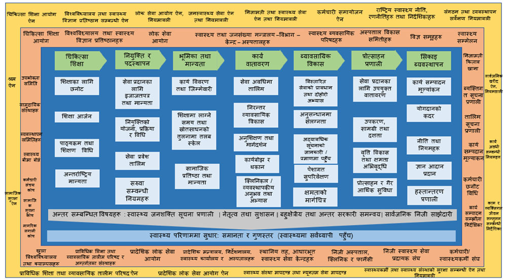 HR_figure1-1790855449.jpg