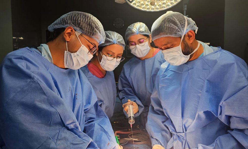 kidney-transplant-hotc1-1784022599.jpg