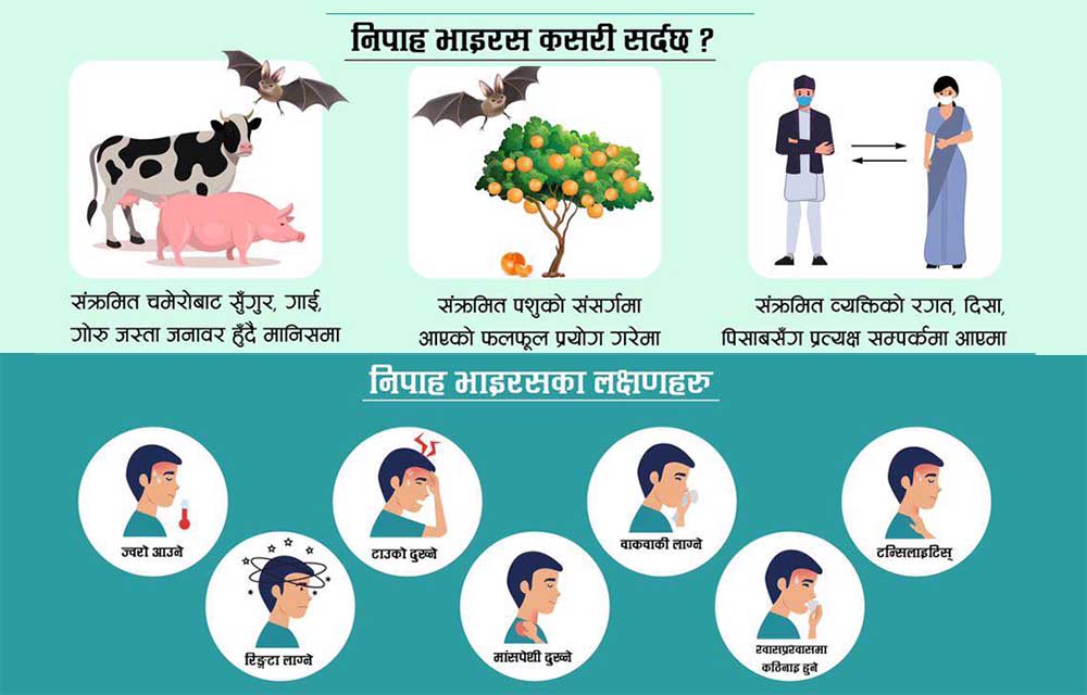भारतमा निपाह भाइरस: सीमा नाकामा 'हाइ अलर्ट', कति जोखिममा छ नेपाल?